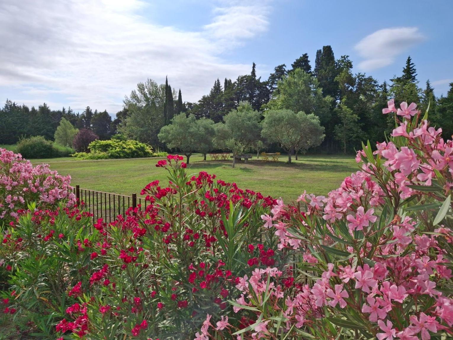 ลา บาสติด เด ซามูริเยร์ Hotel Caumont-sur-Durance ภายนอก รูปภาพ